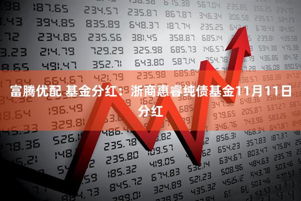 富腾优配 基金分红：浙商惠睿纯债基金11月11日分红