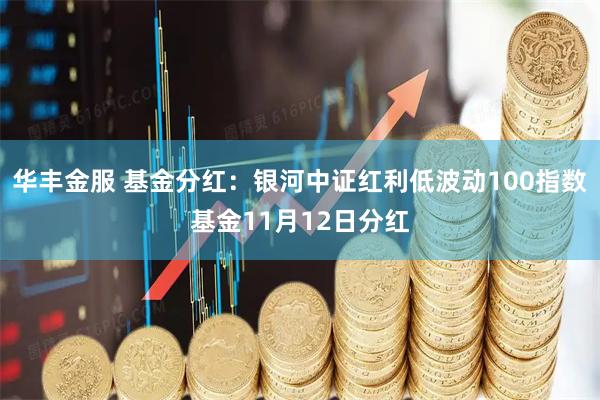 华丰金服 基金分红：银河中证红利低波动100指数基金11月12日分红