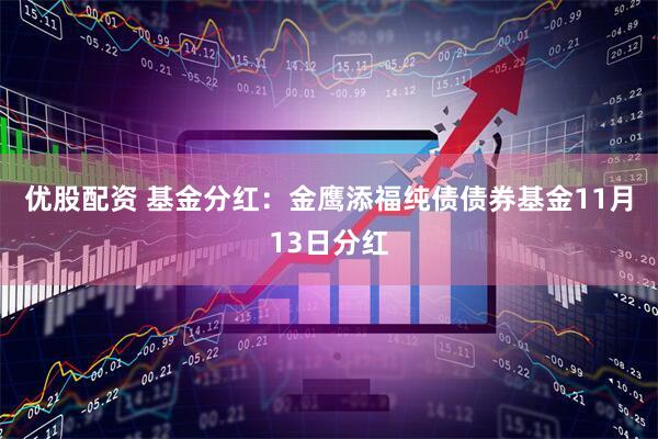 优股配资 基金分红：金鹰添福纯债债券基金11月13日分红