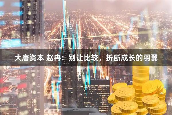 大唐资本 赵冉：别让比较，折断成长的羽翼