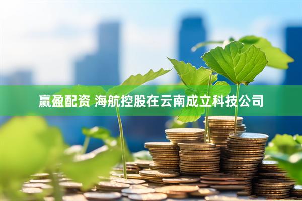 赢盈配资 海航控股在云南成立科技公司